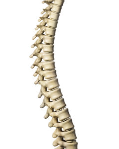 backbone courage leadership andersonleadershipsolutions