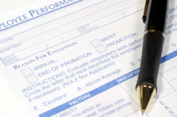 Performance Review or Reveal?